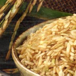 The First GRAS Rice Protein