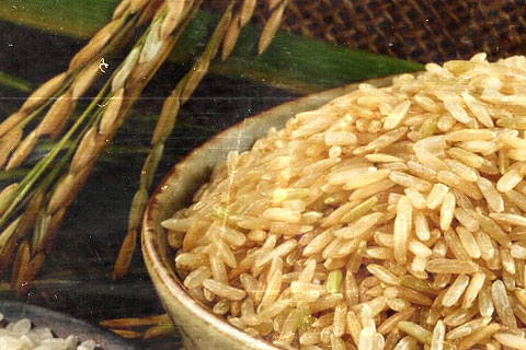 The First GRAS Rice Protein