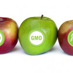 Vermont Senate Passes GMO Labeling Bill
