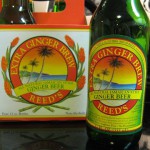 Reed’s Launches First TV Ad Campaign Featuring Ginger Brews