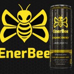 Review: EnerBee