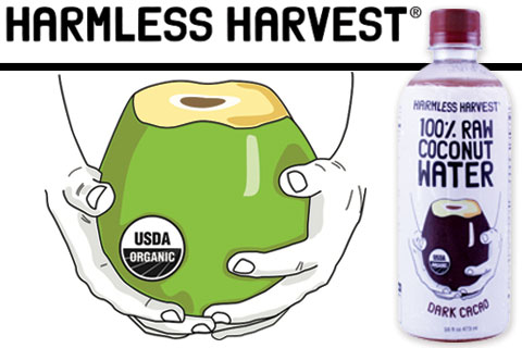 Review: Harmless Harvest Dark Cacao