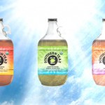 Review: Southern Teaz