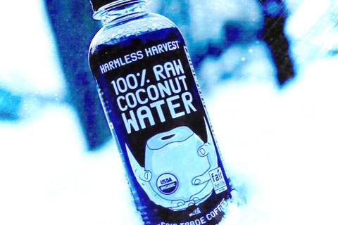 Review: Harmless Harvest 100% Raw Coconut Water with Fair Trade Coffee