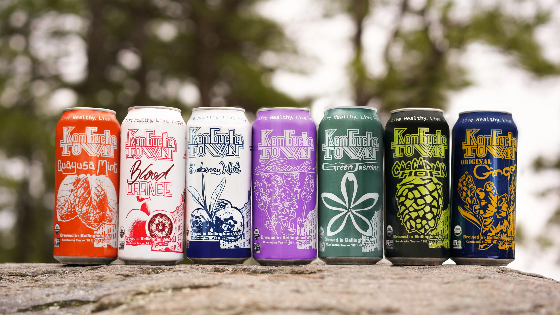 Rebuilding Kombucha Town