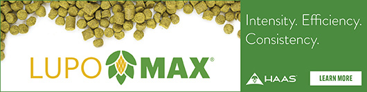 Banner Ad Hold