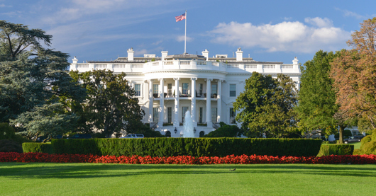 🇺🇸 Trade Groups Share How the Election Results Could Impact the Industry