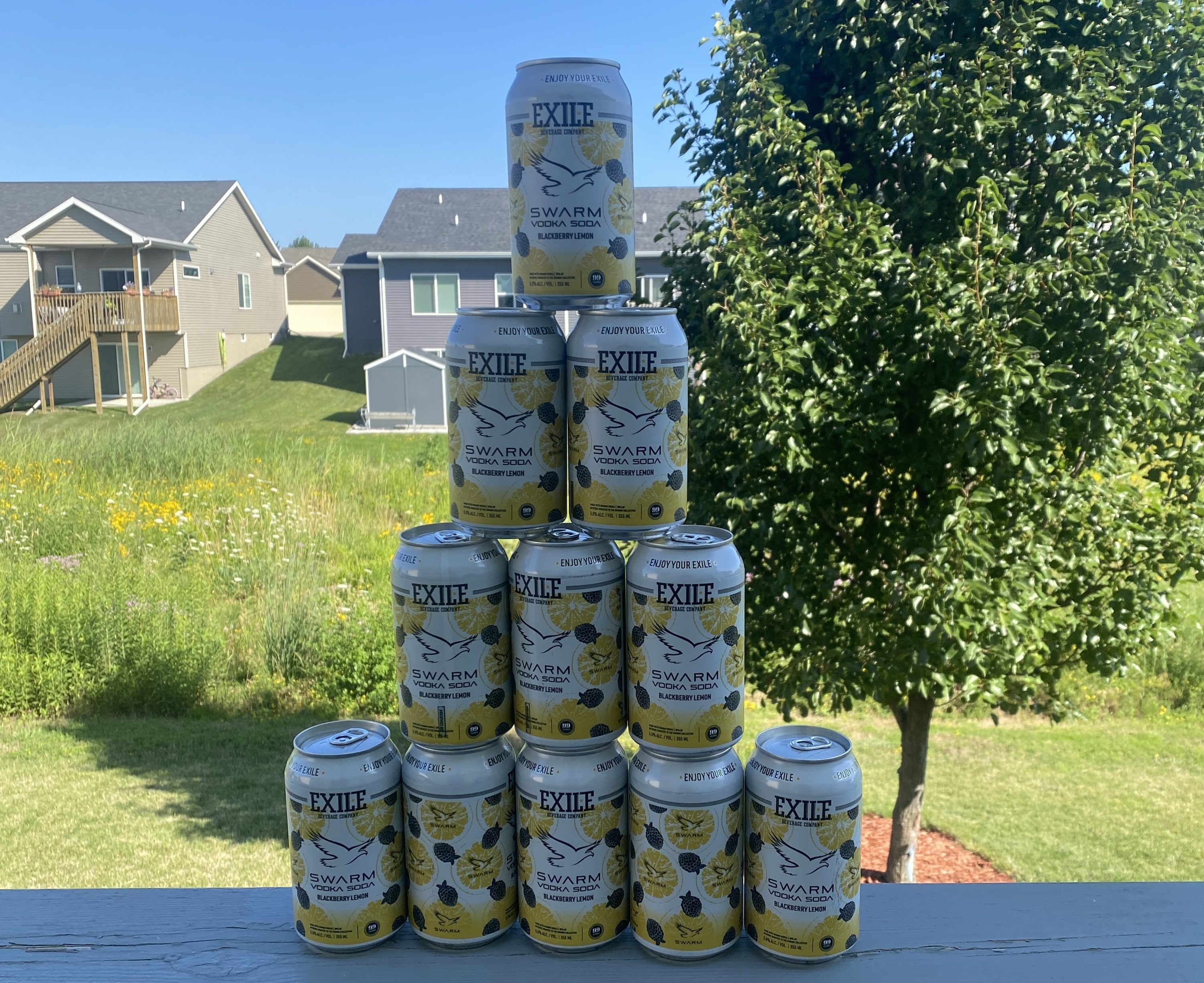 📬 Exile Brewing Swarm Vodka Soda