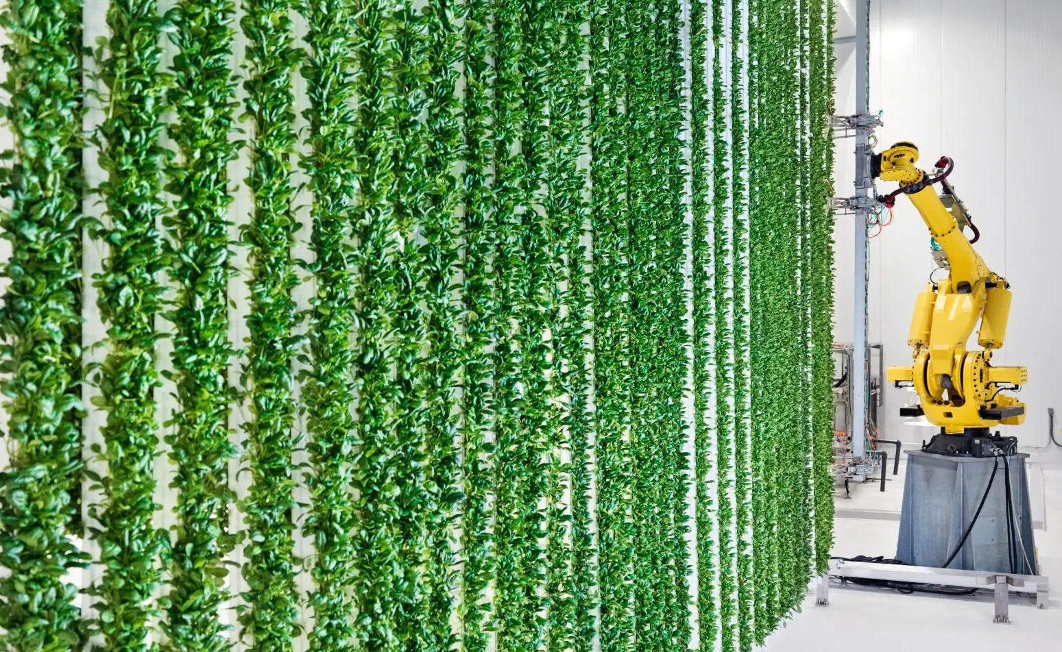 📉 Plenty Initiates Ch. 11 Protections