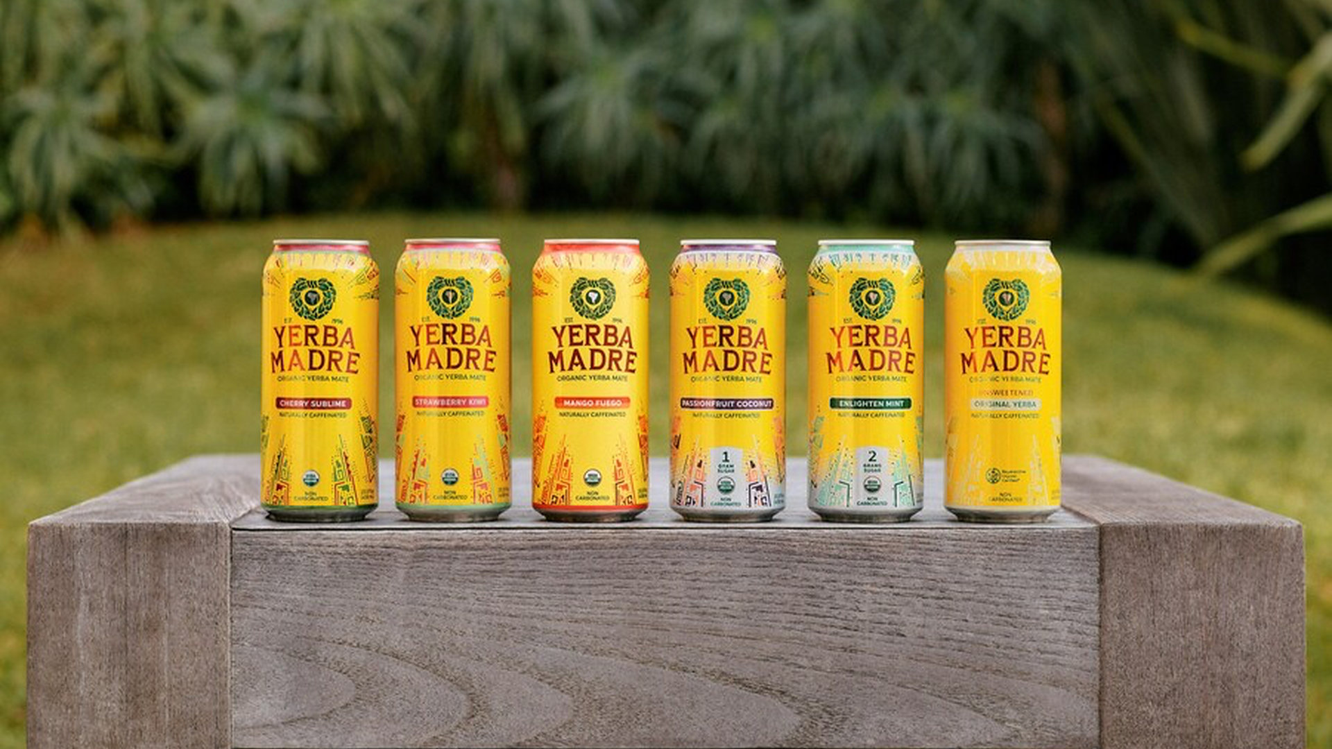 Yerba Madre Has No Regrets