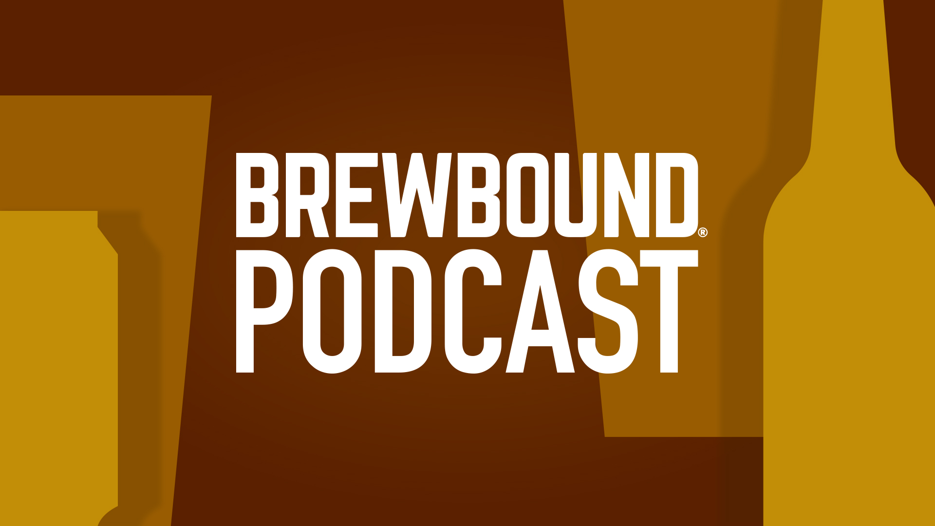 📊 Data & Deals 🤝