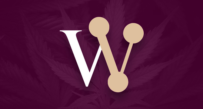 🍷 Wine & Spirits Lobby Group Supports Hemp Drinks