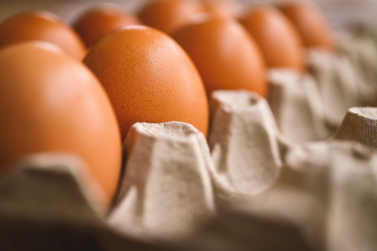 🥚 The Latest On Egg Prices