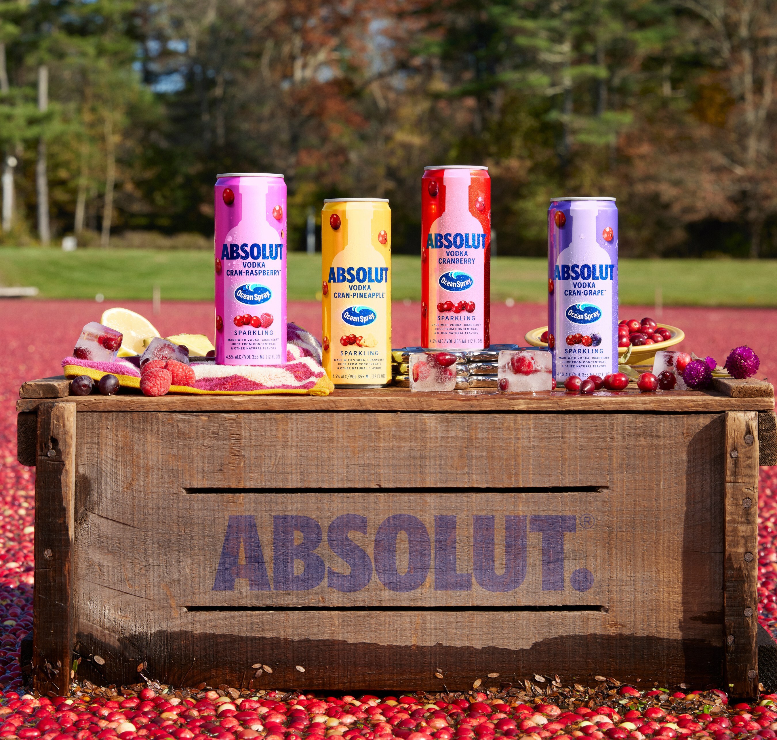 🌊 Absolut and Ocean Spray Debut Vodka Cranberry RTDs