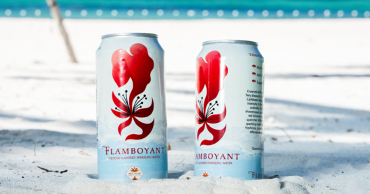 Top Dog Cocktails Fuels RTD Expansion, Caribbean Distribution With $1.3M Investment In Flamboyant Water