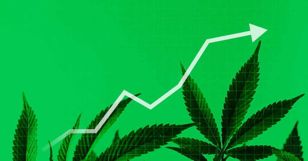 📈 Cannabis Beverages Chase THC Dosage