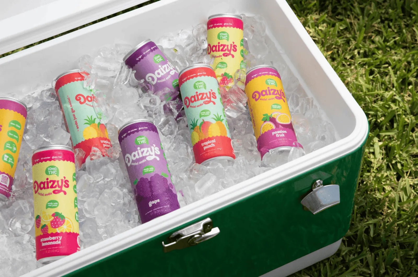 🌼 Pushing Daizys: Meet Owen’s THC-Infused ‘Social Soda’