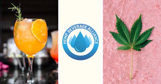☁️ Hemp Beverages, Assemble