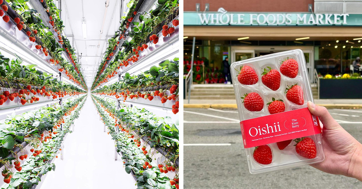 🍓 Oishii Raises Additional $16M, Closes Round At $150M