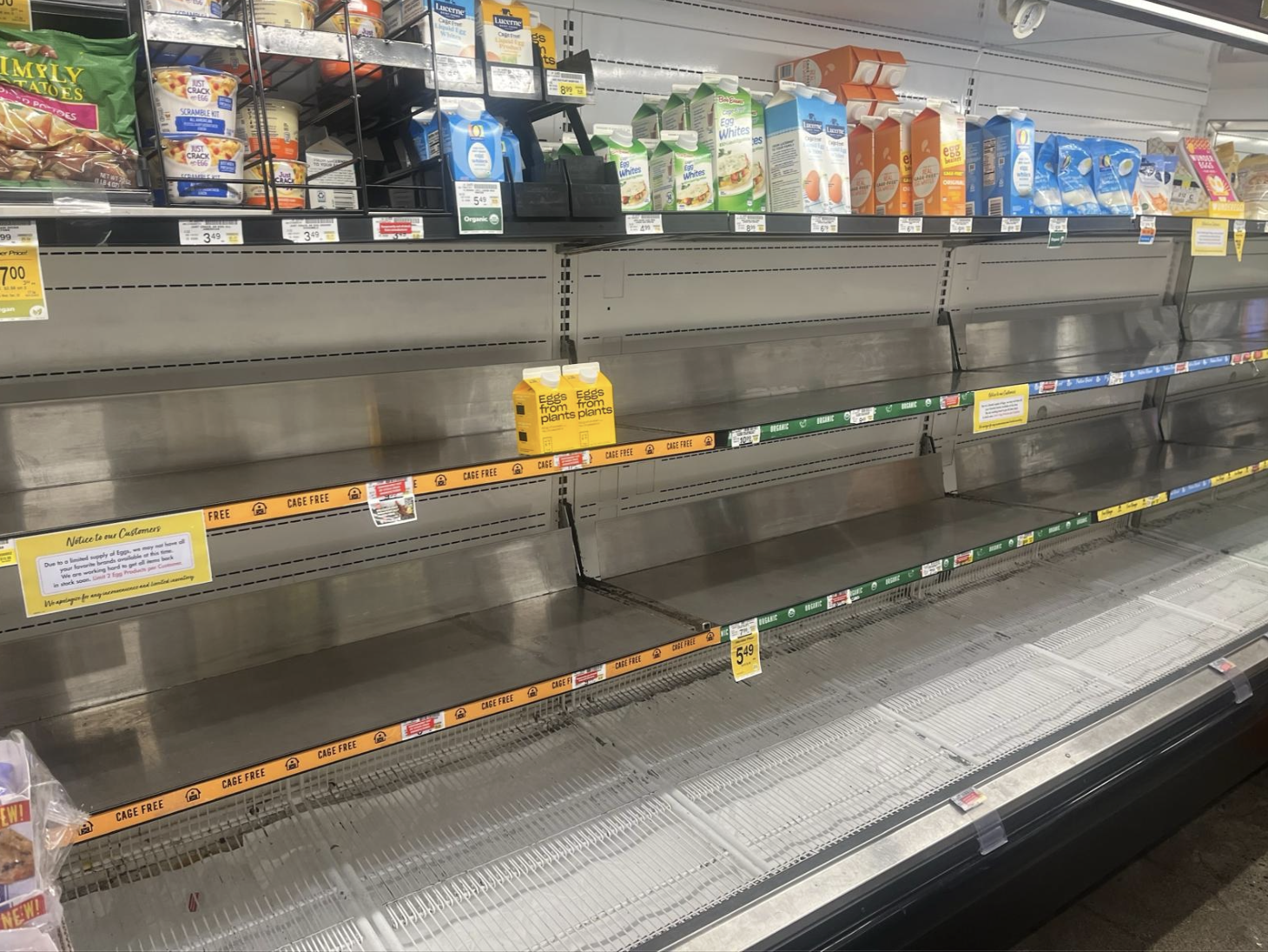 🥚 How Is the Avian Flu Outbreak Impacting CPG? 