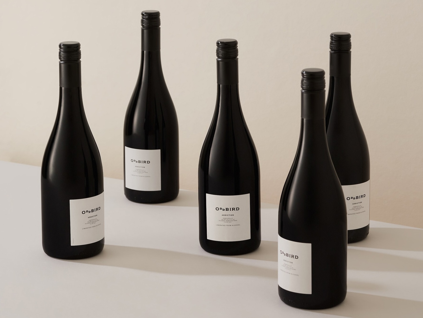 🐦 Oddbird Adds Ordinary Investment