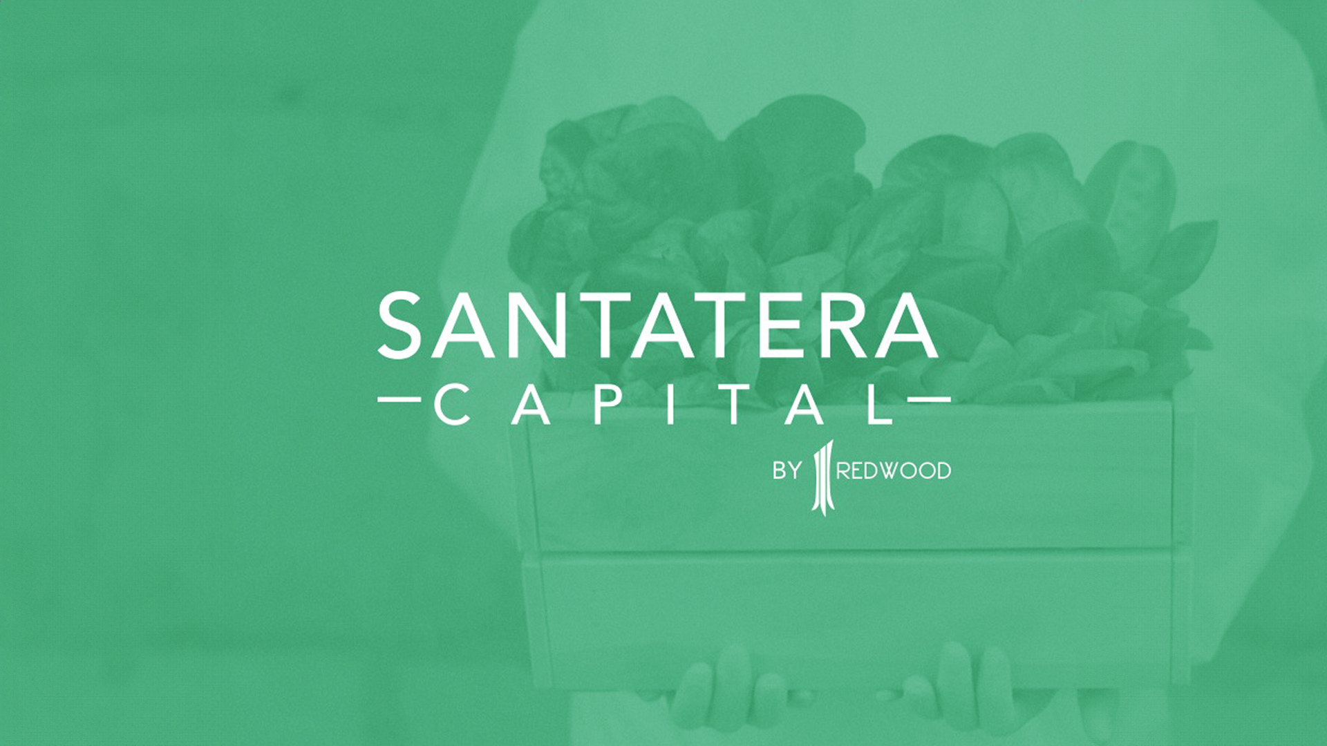 🔍 Santatera Invests in Flavor, Not Fads. Here’s What They Look For.