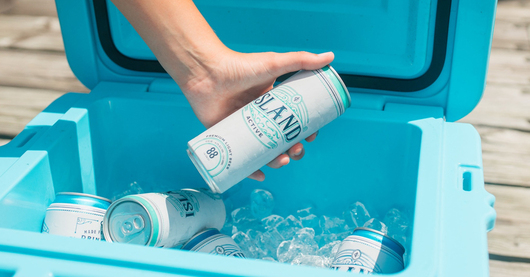 🌴 Island Brands USA Co-Founders Face Investor Lawsuit; New Owners Take Over