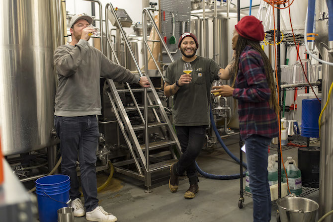 🍎 Creator Launchpad Grant Winner Releases Beer at Pilot Project