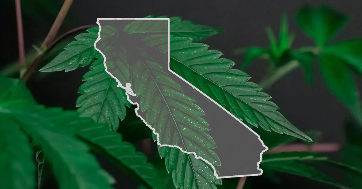 🚪 CA Closes The Door On Hemp-Derived THC Products
