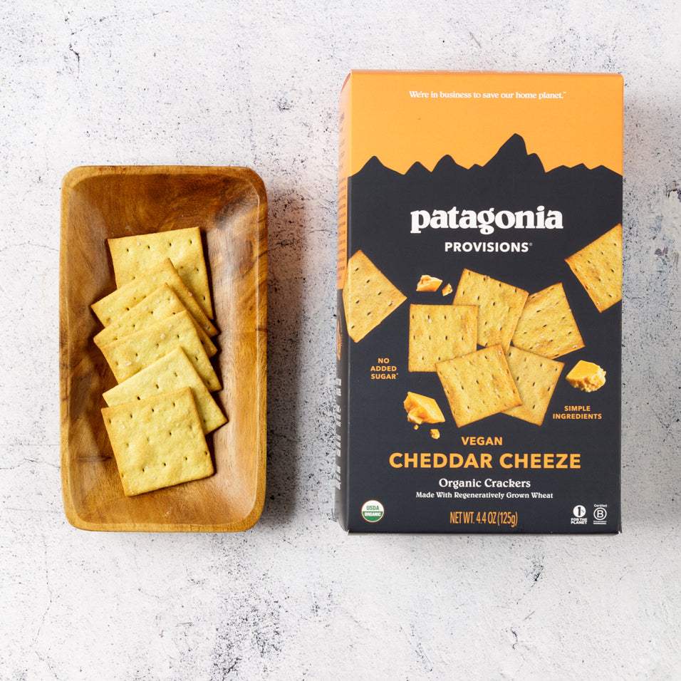 🚀Moonshot Lands In Patagonia