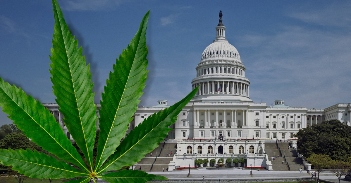 📜 Could This Bill Legalize Intoxicating Hemp? Here’s A First Look.