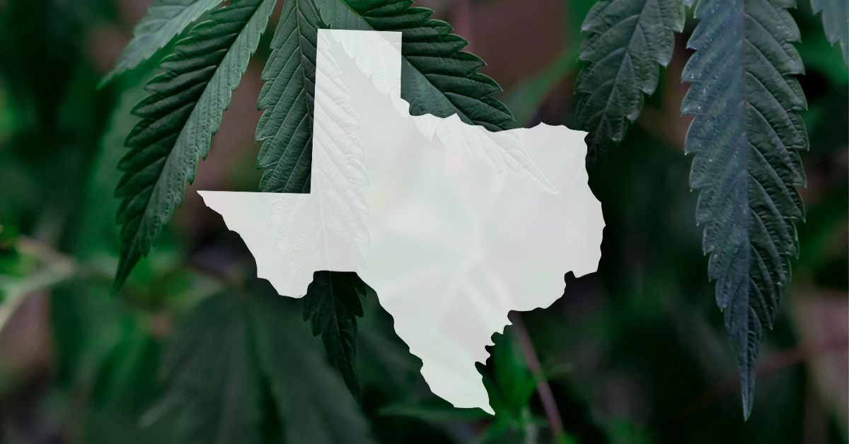 〰️ ‘Shockwaves’ May Be Coming After Texas Turns on Hemp
