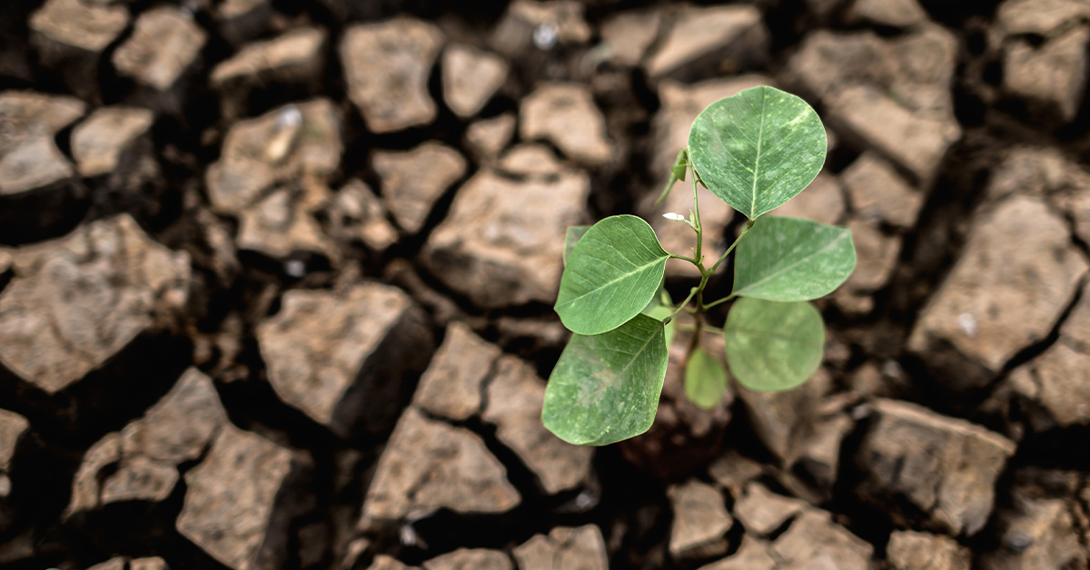 🙏 ‘I Failed, But I’m Not A Failure’: Lessons From Loss