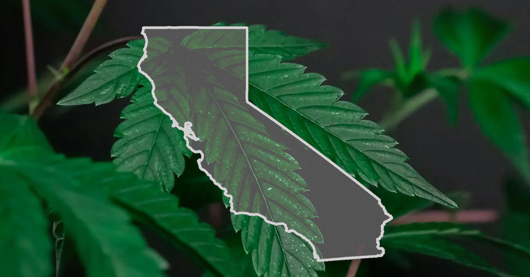 🚫 CA Closing Door On Hemp-Derived THC Products