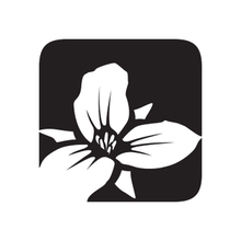Trillium Brewing - Cellar Operator - BevNET.com Beverage Industry Job Listing - Vimarsana News