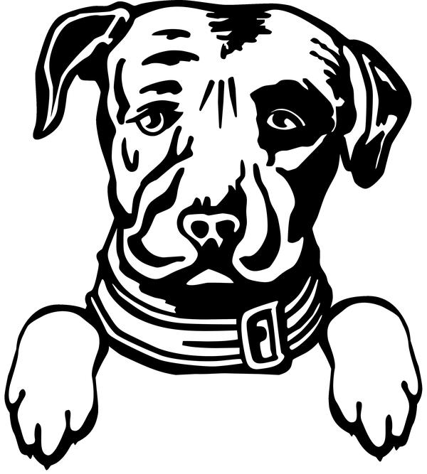 Lagunitas Brewing Company - Commercial Strategy Analyst - BevNET.com Beverage Industry Job Listing - Vimarsana News