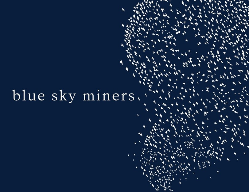 Logo for Blue Sky Miners, Inc