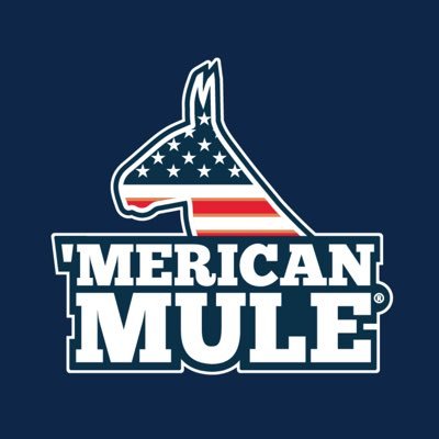 'Merican Mule - Regional Manager (North & South) - BevNET.com Beverage Industry Job Listing - Vimarsana News