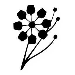 Bloom Club