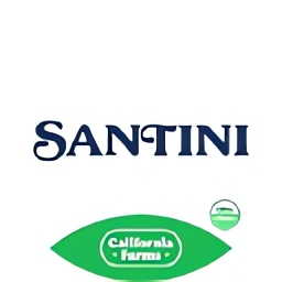 Santini