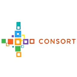 Consort Partners Limited
