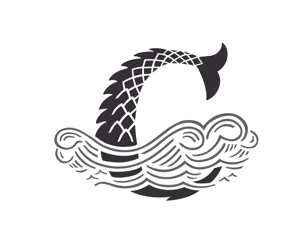 Coppertail Brewing Co