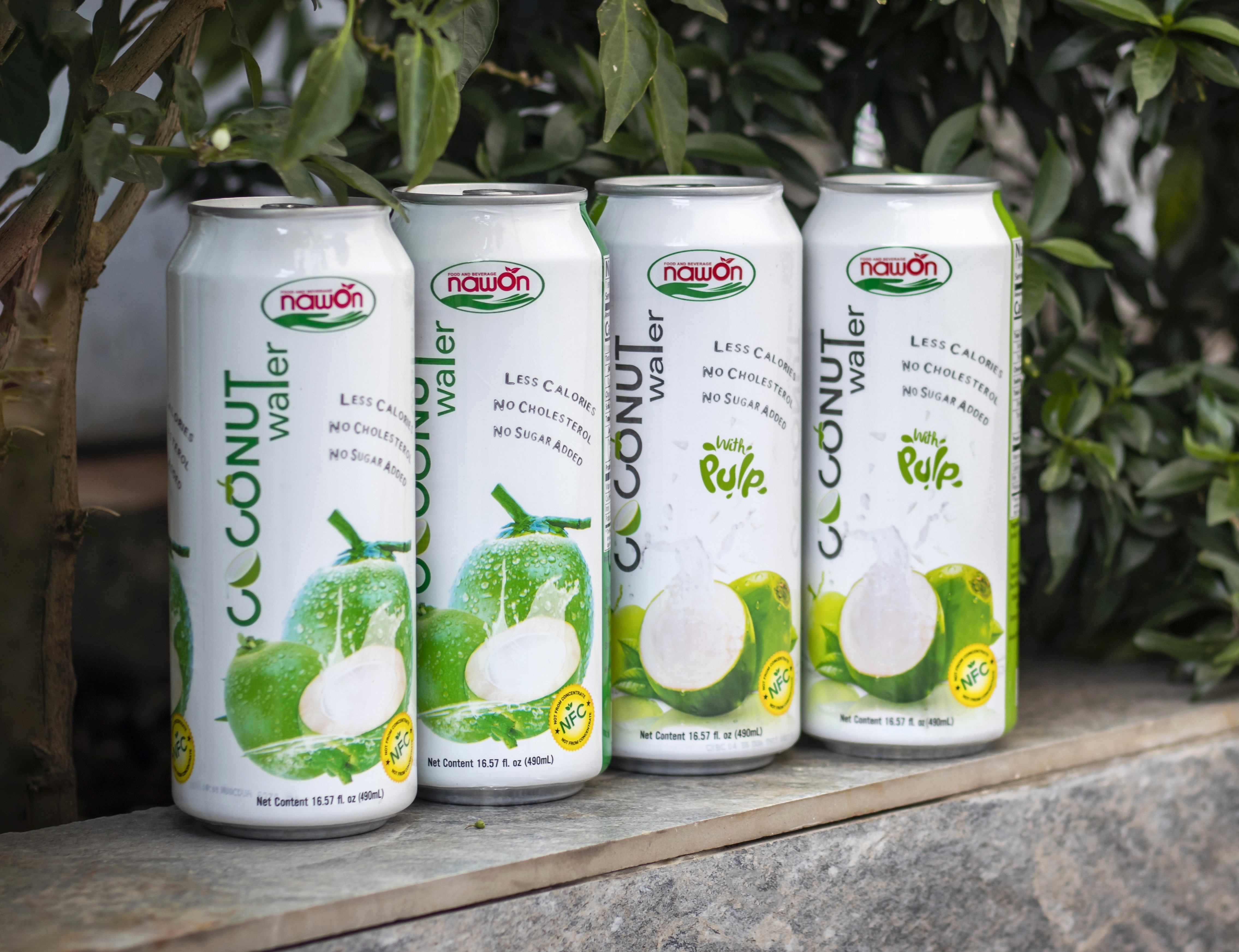 Vietnam Coconut Water Drinks - 500ml Can