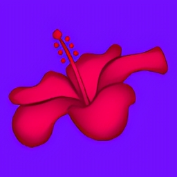 amaí