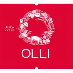Olli Salumeria