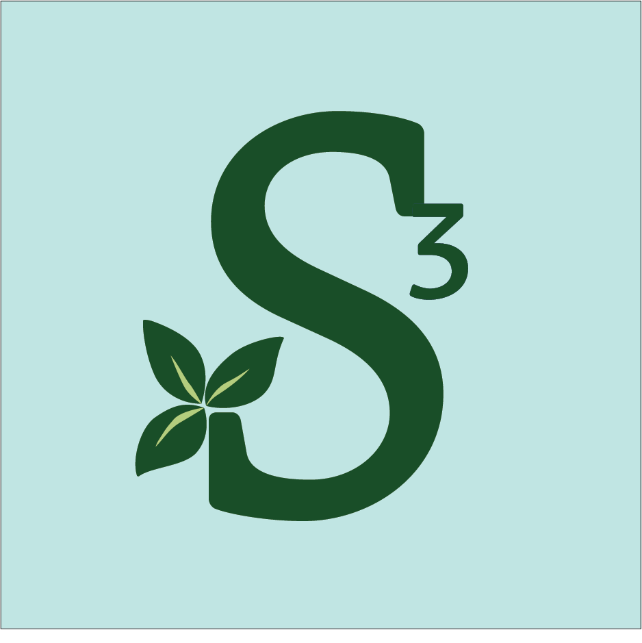S3Connect