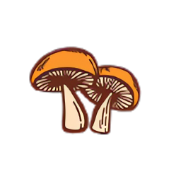 Pan's Mushroom Jerky