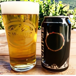 Snake River Brewing