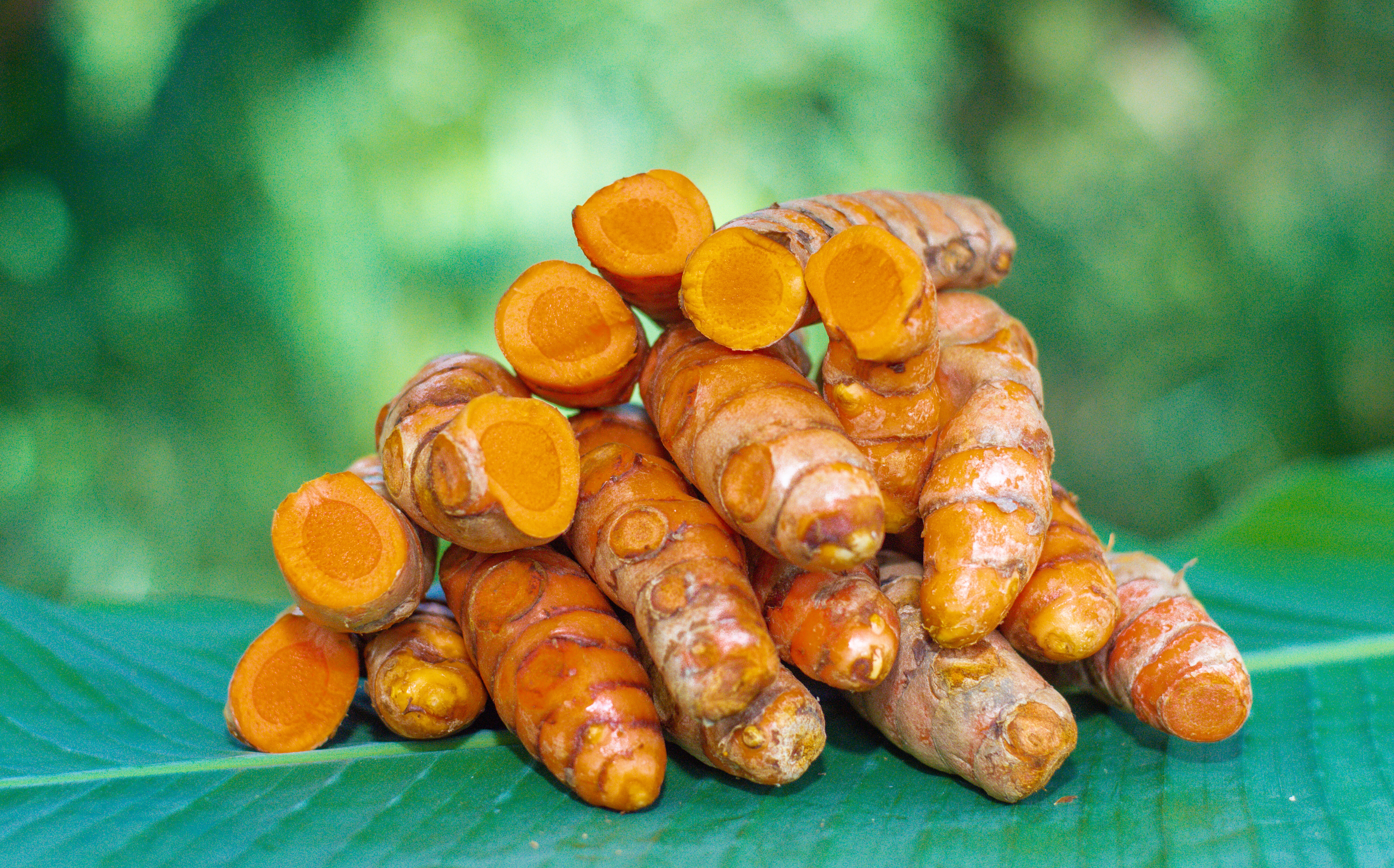 Pristine Organic Turmeric Root