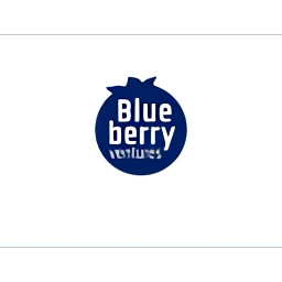 Blueberry Ventures